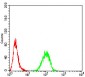 RALA Antibody